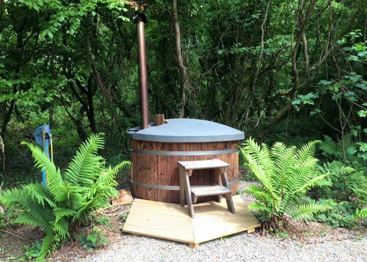 Florence Springs Glamping Gumfreston ภายนอก รูปภาพ