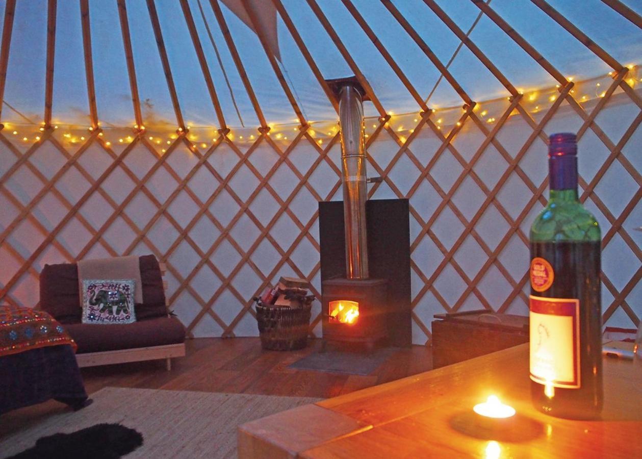 Florence Springs Glamping Gumfreston ภายนอก รูปภาพ