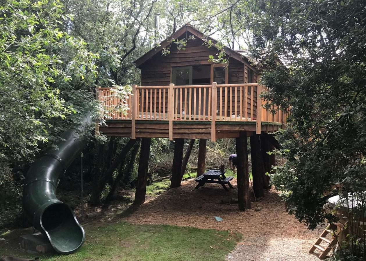 Florence Springs Glamping Gumfreston ภายนอก รูปภาพ