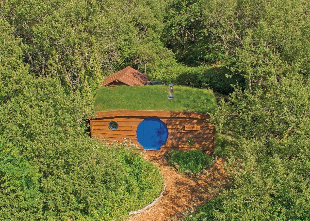 Florence Springs Glamping Gumfreston ภายนอก รูปภาพ